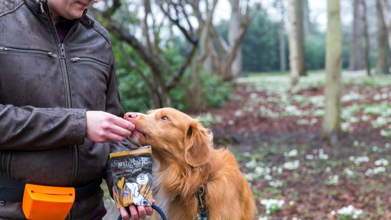 Dog Friendly Walks Near Me With Cafe
