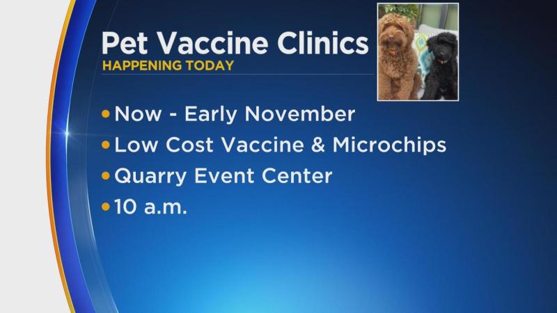 Dog Vaccinations Near Me Today