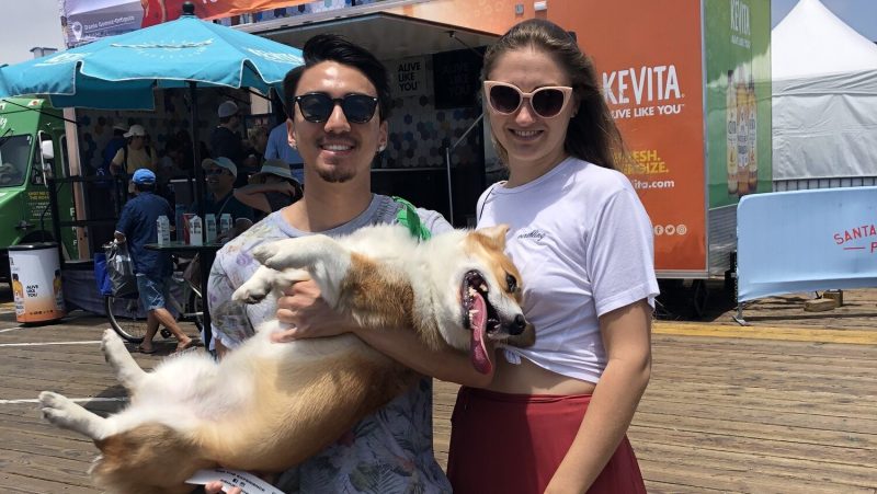Fun Day Trips With Dogs Near Me