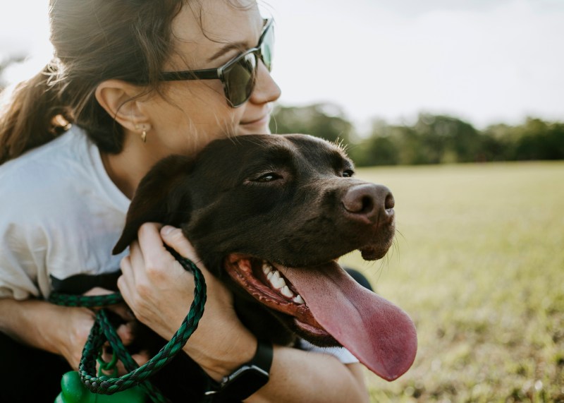 Fun Dog Friendly Activities Near Me