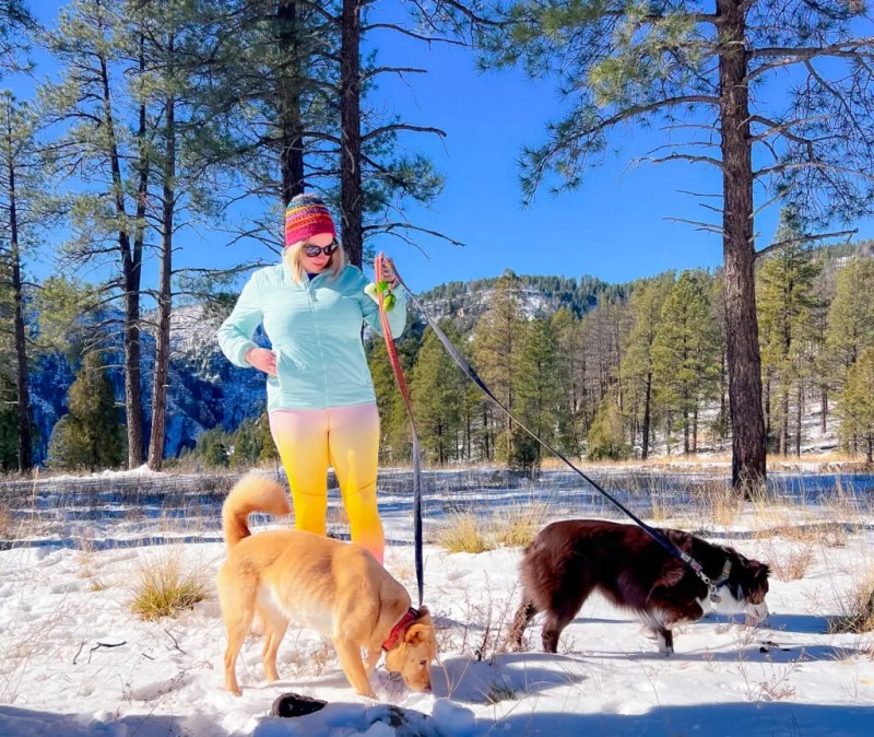 Good Places To Vacation With Dogs