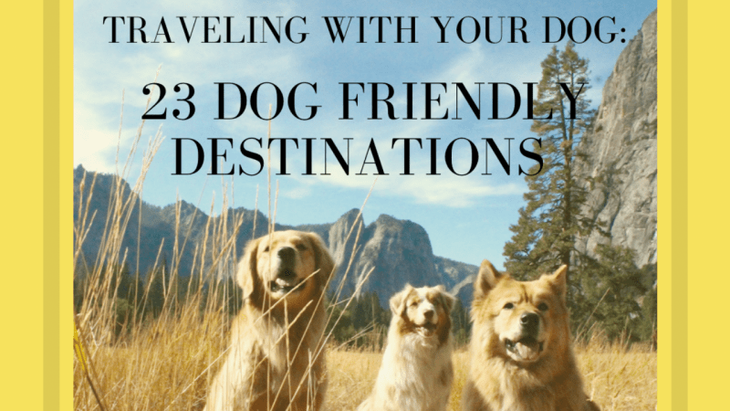 Pet Friendly Destinations Near Me