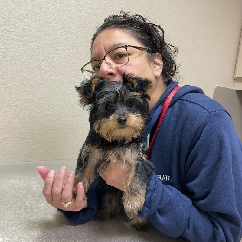 Puppy Vaccinations Near Me Cheap