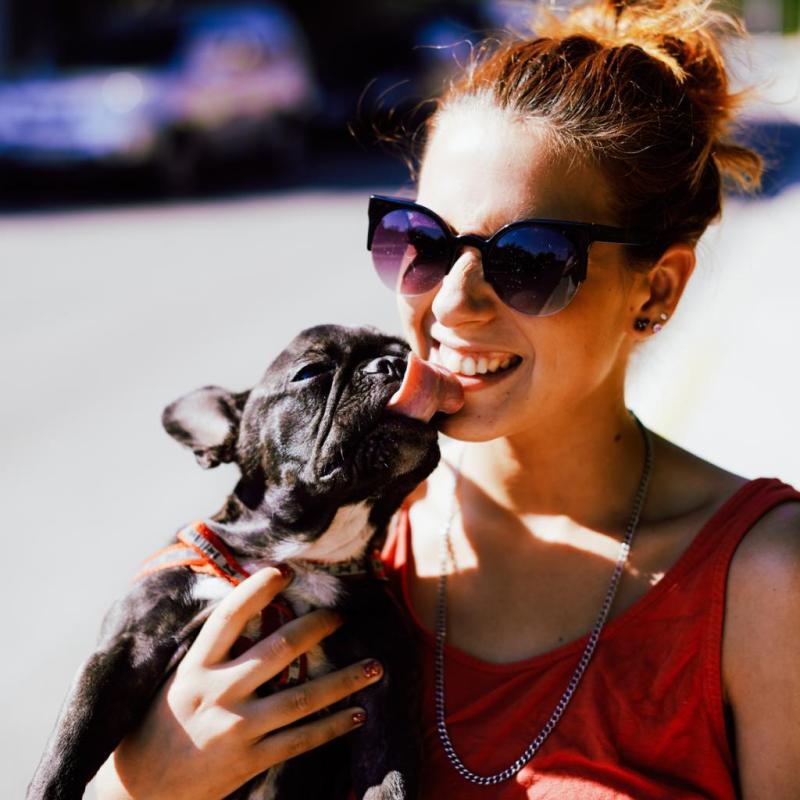 Vacations Pet Friendly Hotel