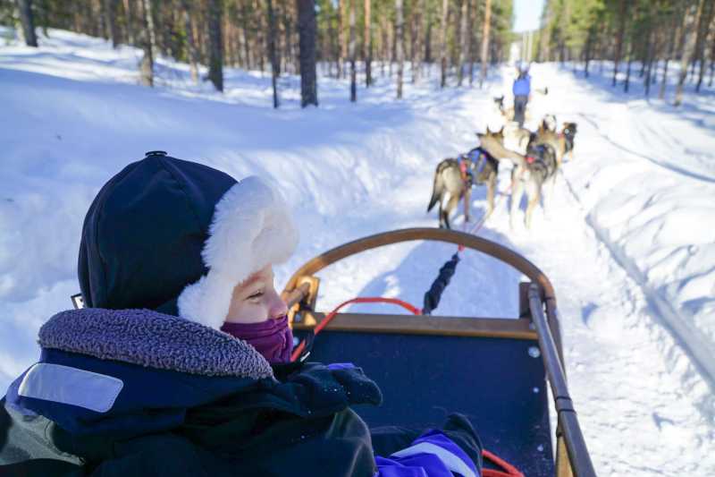 Vacations With Kids And Dogs