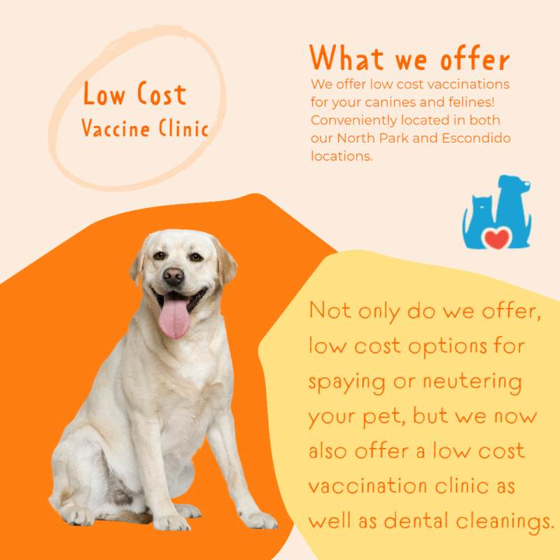 Vaccinations Near Me For Dogs
