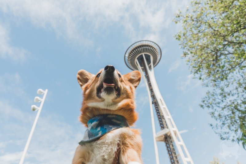 Weekend Trips With Dogs Near Me