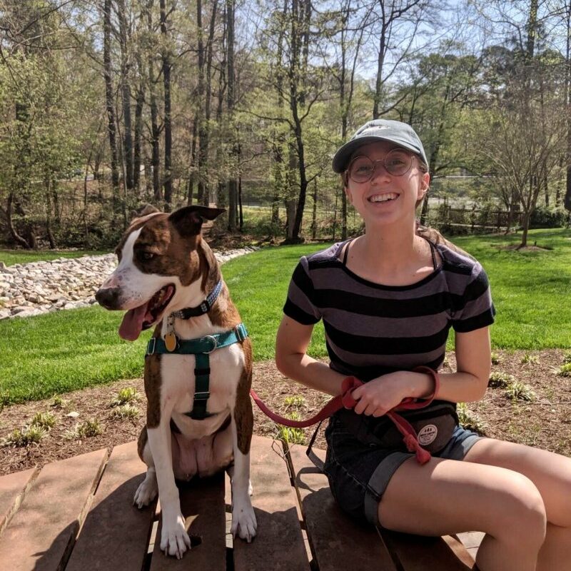 What To Do With Dog While On Vacation